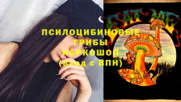 меф Белокуриха