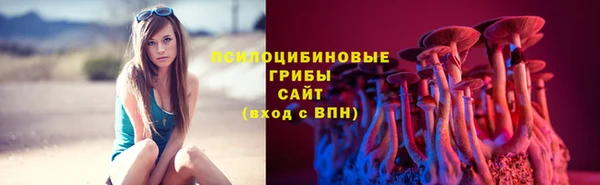 стафф Богданович
