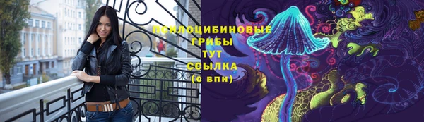 хмурый Богородицк